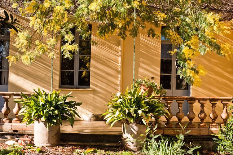 Les Buis Bed & Breakfast Ille-sur-Têt Екстериор снимка